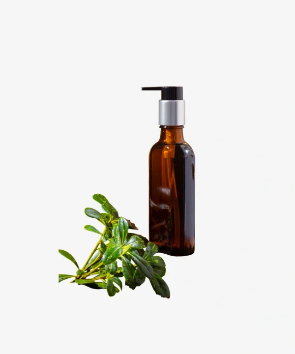 Bea Tea Tree Oil Shampoo