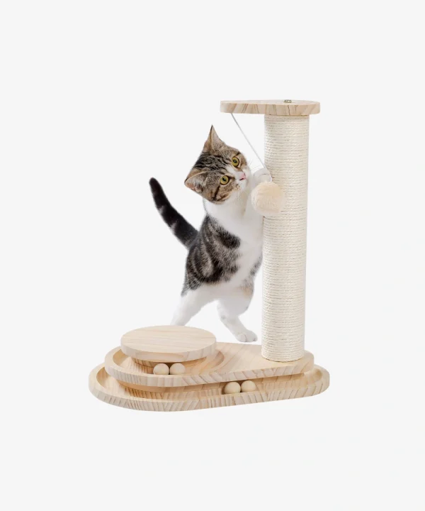 Cat Scratcher