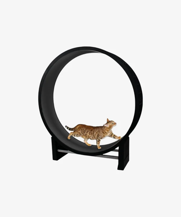 Cat Toy 4 Wheels